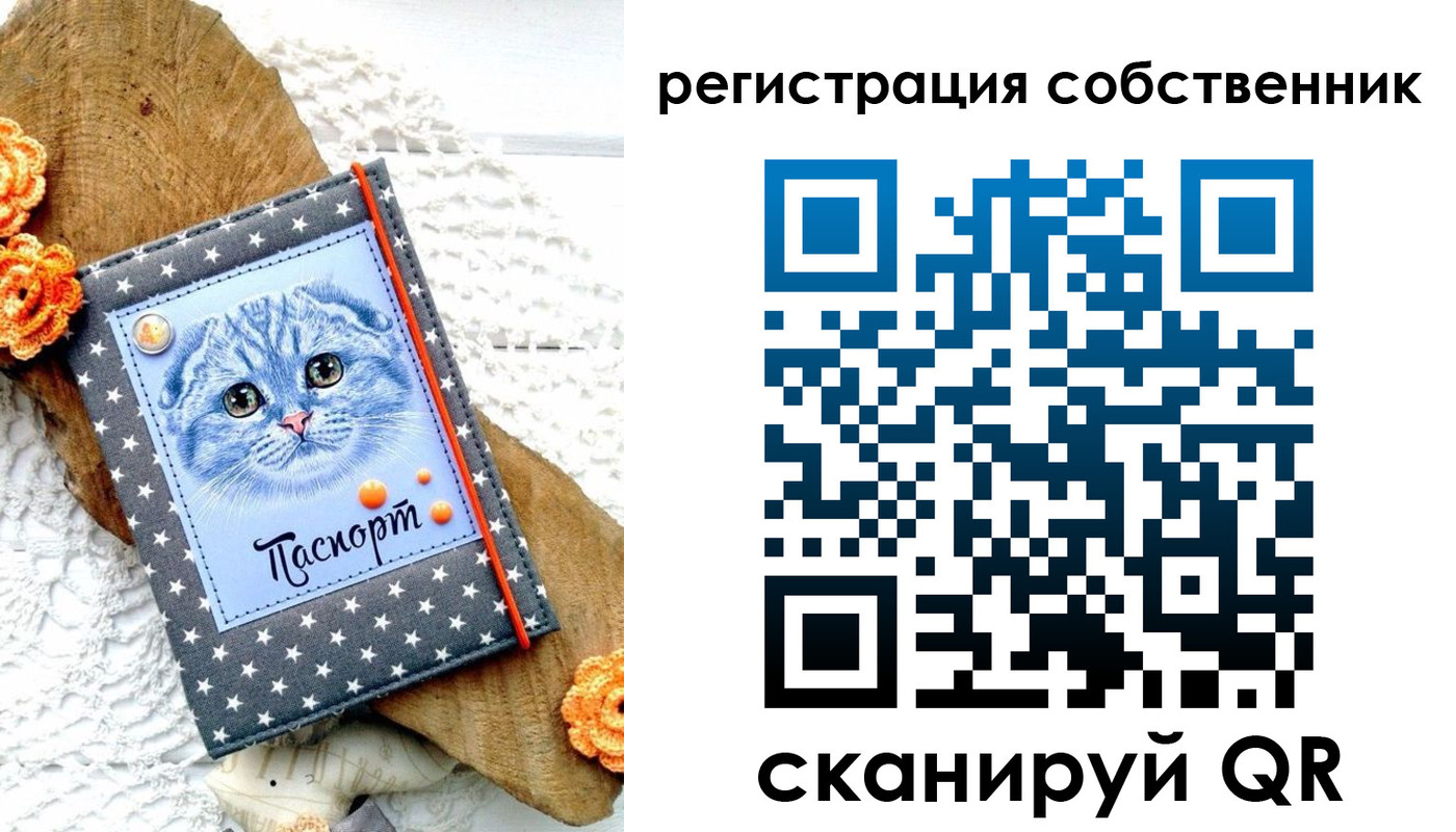прописка для работы в Медногорске
